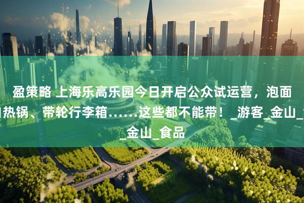 盈策略 上海乐高乐园今日开启公众试运营，泡面、自热锅、带轮行李箱……这些都不能带！_游客_金山_食品