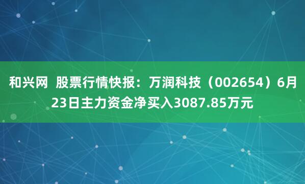 和兴网  股票行情快报：万润科技（002654）6月23日主力资金净买入3087.85万元