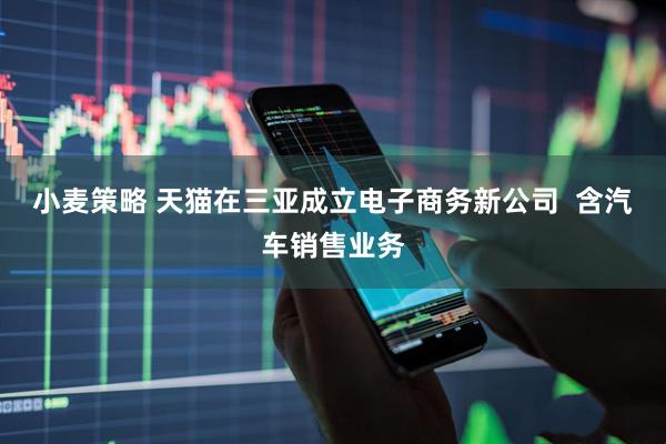 小麦策略 天猫在三亚成立电子商务新公司  含汽车销售业务